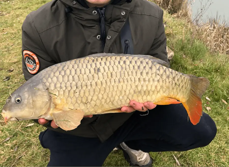 The Flavell Fishery