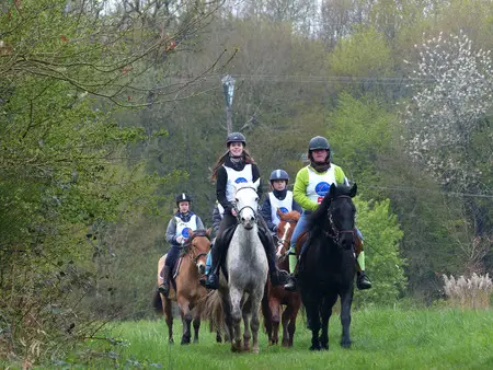 CLUB HIPPIQUE DE LA FORET D ALLOGNY
