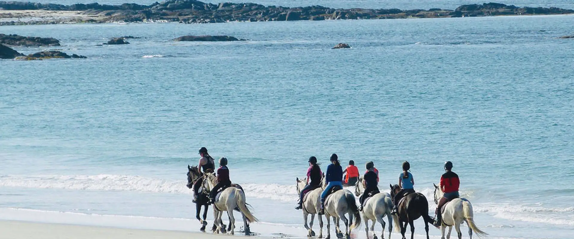The Point Pony Trekking & Horse Riding Centre