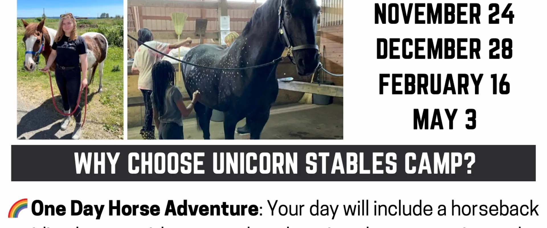 Unicorn Stables Ltd