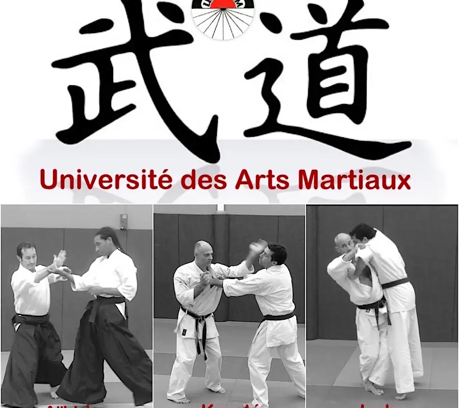 Institute Aikido Akj
