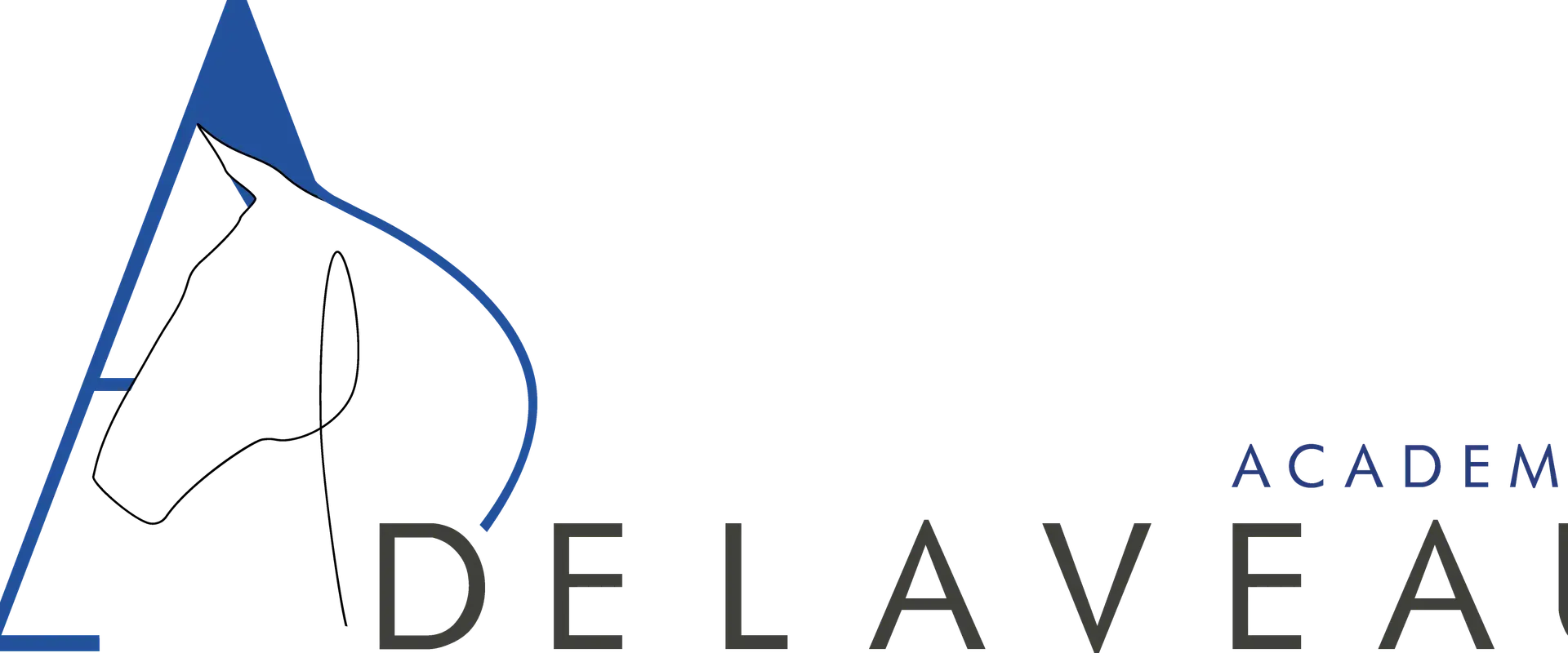 Academie Delaveau