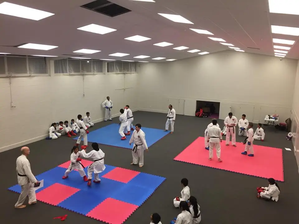 Lion Budokan Karate International