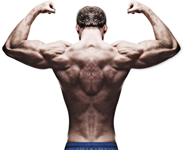 Team Nbfit