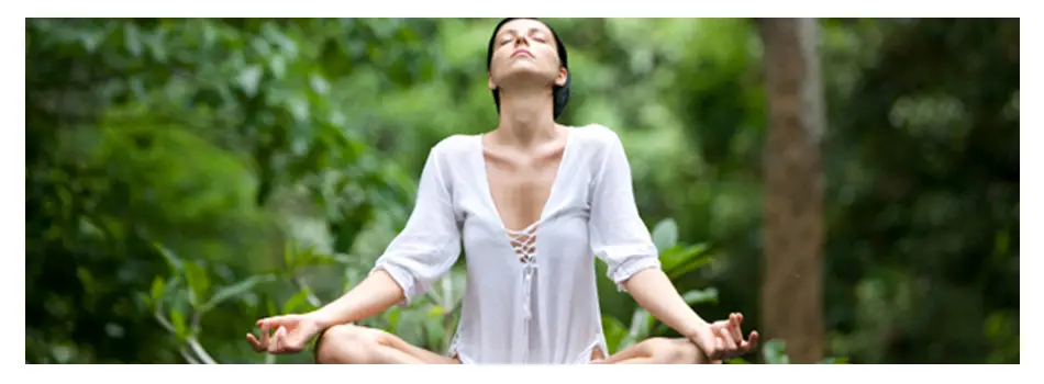 Orchard Yoga
