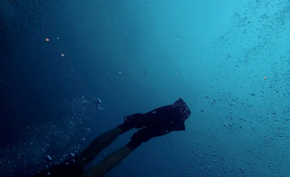 Trieux Diving