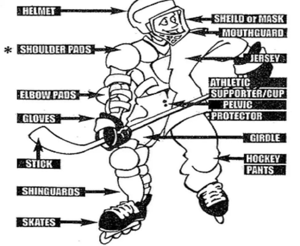 The Langley Hockey House