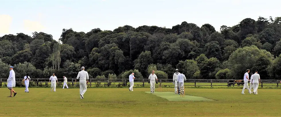 Mount Juliet Cricket Club