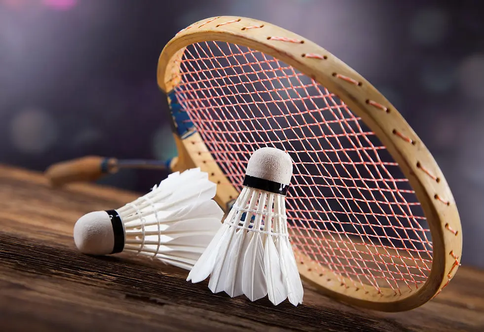 Badminton & Squash L'Arbonnoise