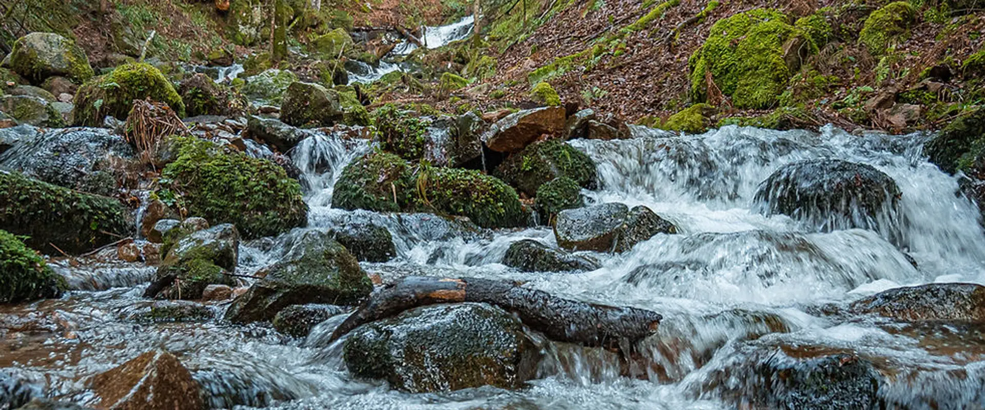 Association agréé pour la pêche et la protection du milieu aquatique (AAPPMA)