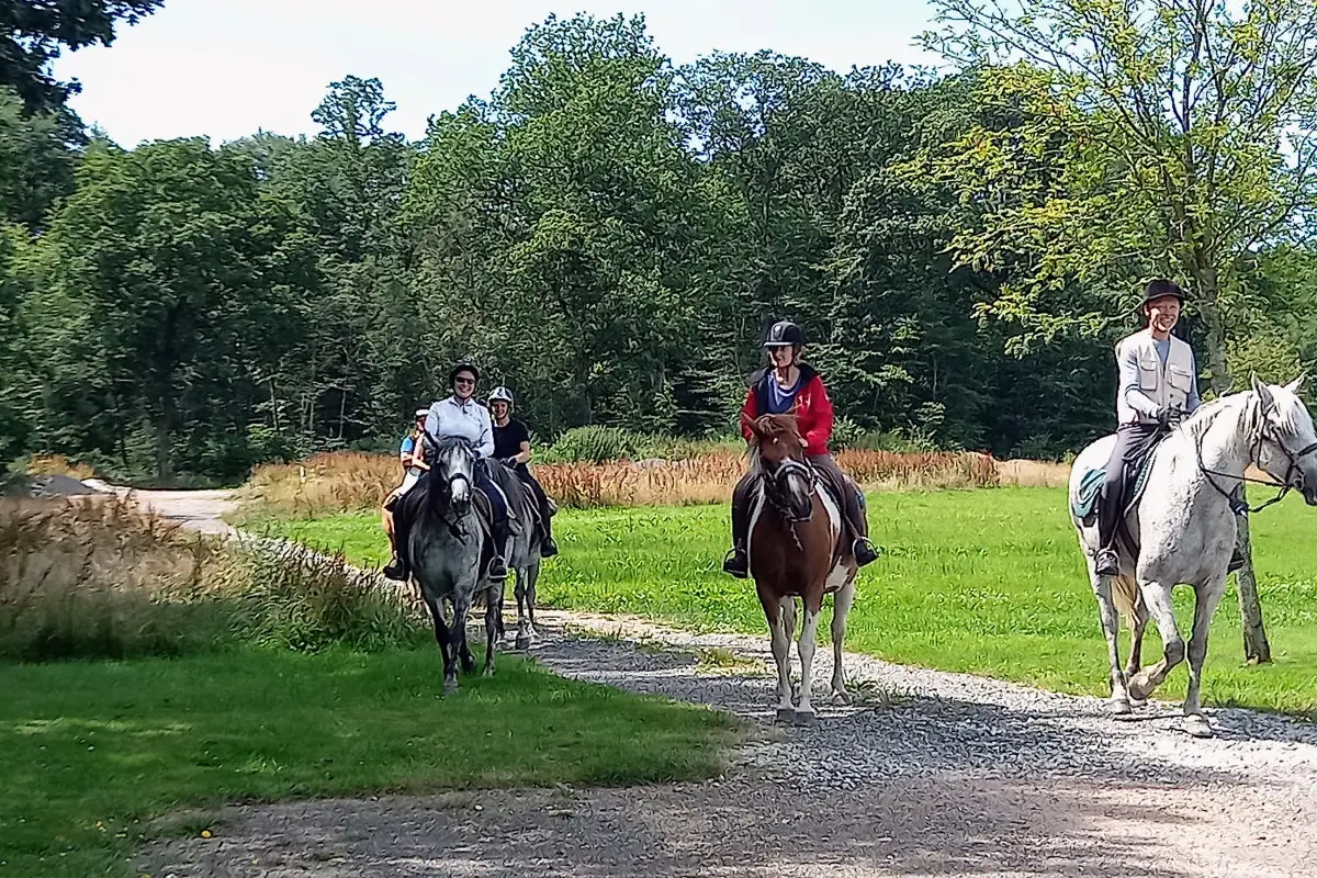 FERME EQUESTRE DES TERTRES
