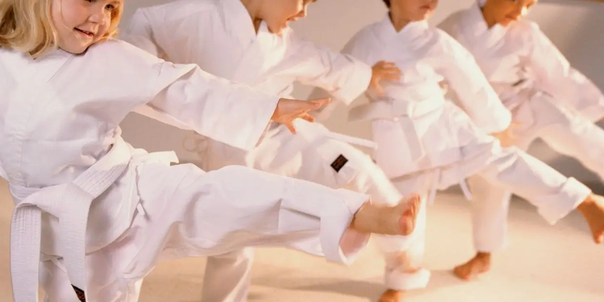Karate Training School