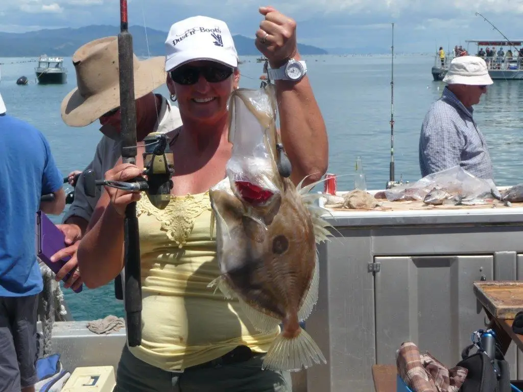 Coromandel Fishing Adventures