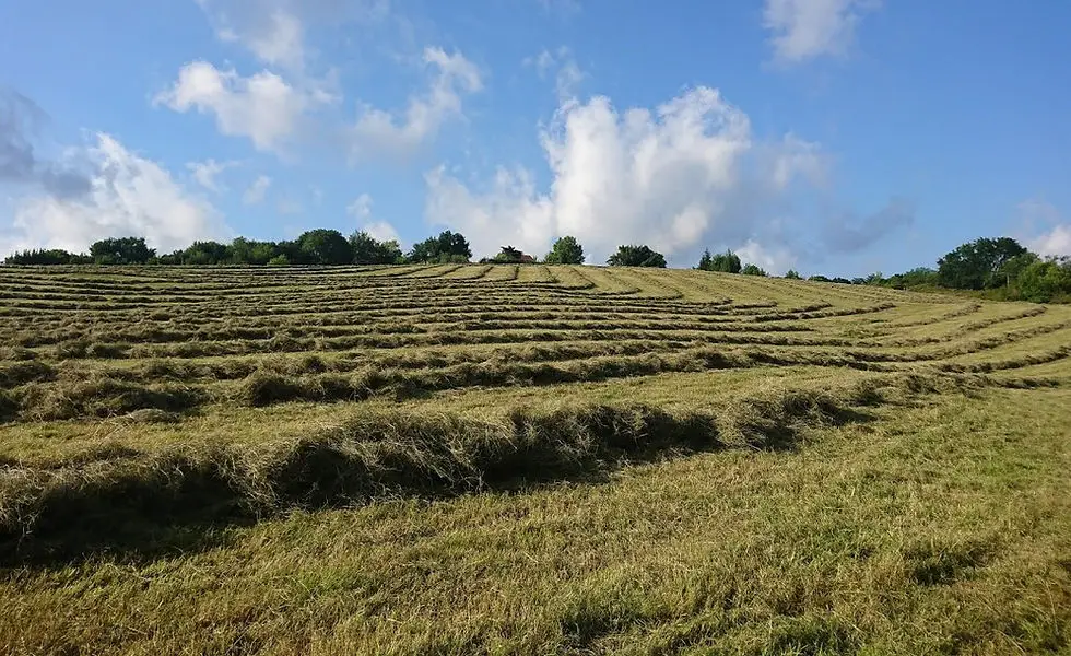 Ferme Équestre Xuxurla