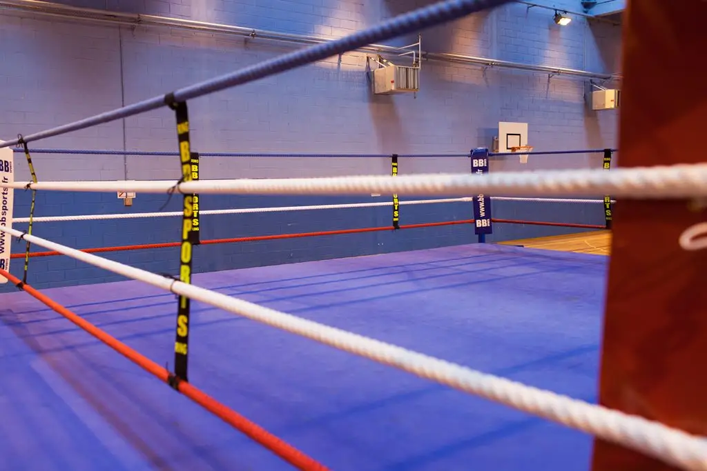 Savate Boxe Francaise