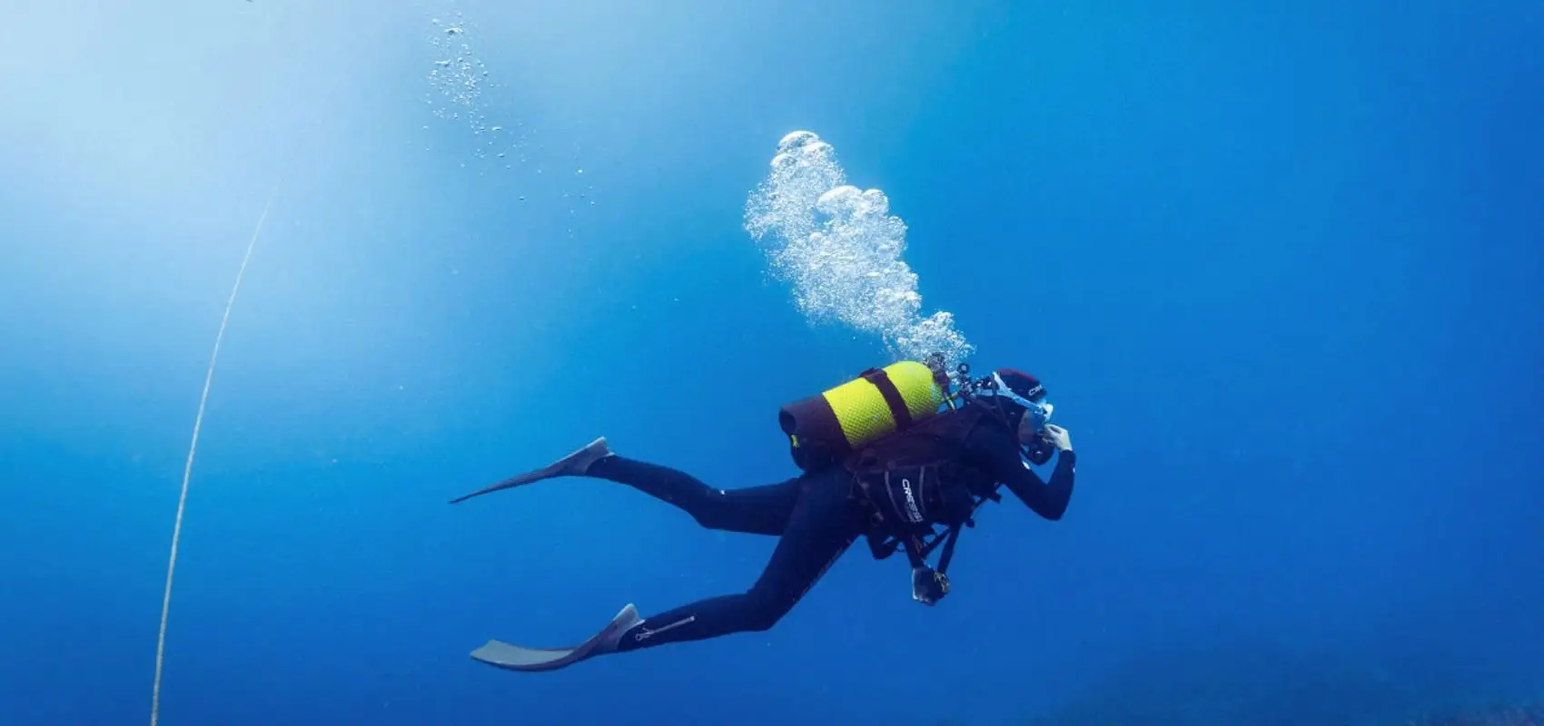 BeFreeToDive