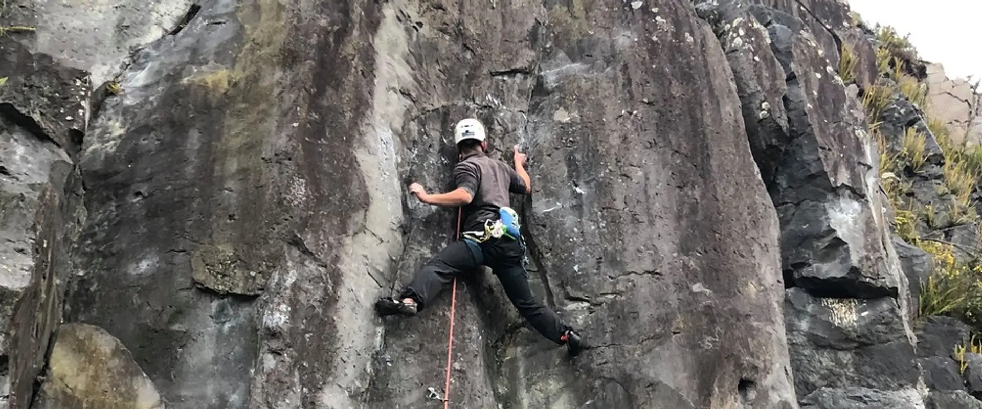 Maungarei Springs (Stonefields) Crag