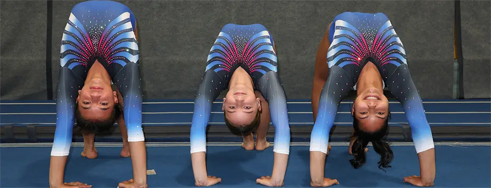 Club Aviva Gymnastics
