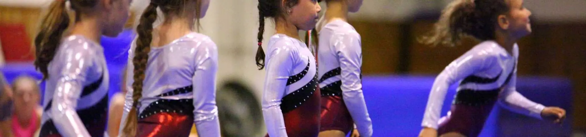 Mount Tauhara Gymnastics Club