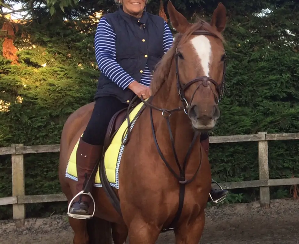 Copdock Riding Centre