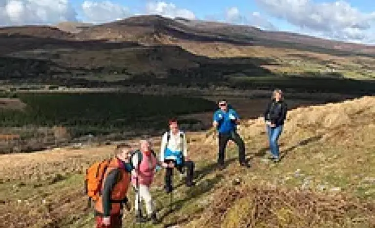 Terra Firma Ireland