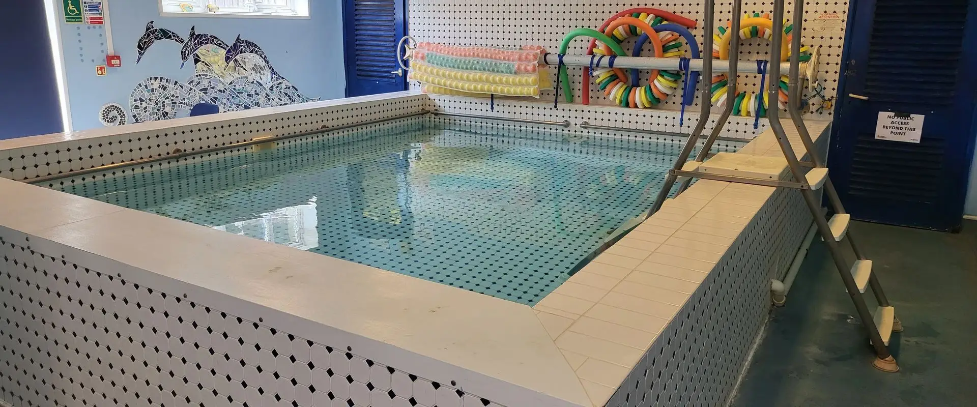 Seahorse Hydrotherapy Pool