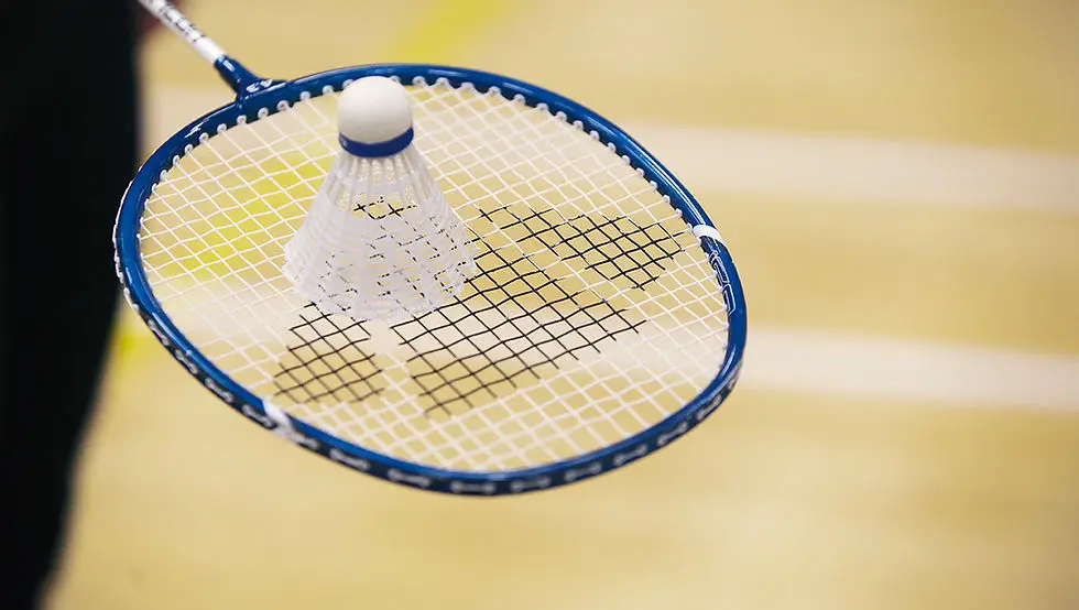 Badminton Club de Frontonas