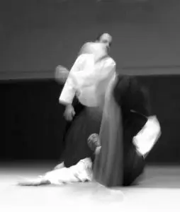 Aikido Paris 13