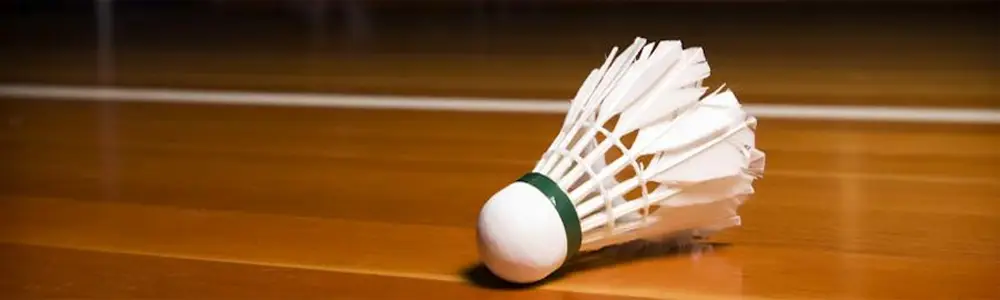 CSA Badminton
