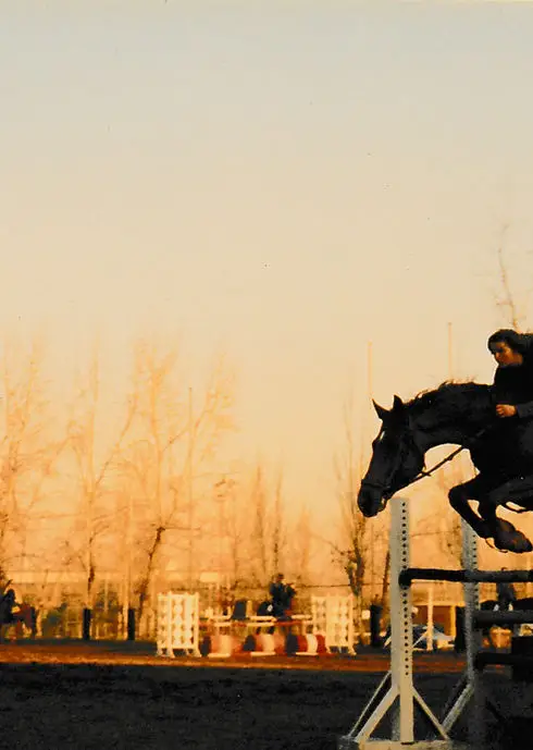 Centre Equestre Domaine Des Valles
