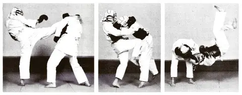 NIPPON KEMPO MARSEILLE