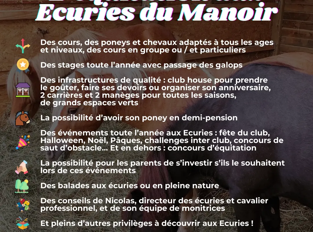 Stalls Du Manoir Brié-Et-Angonnes