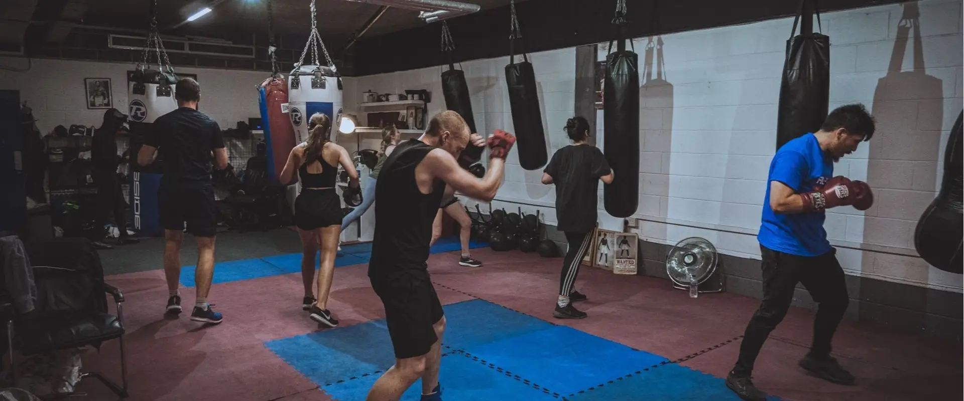 McKenzie's Online Boxing Fitness & Personal Boxing Club
