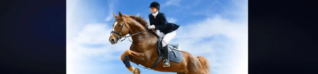 Hayden Equestrian Centre