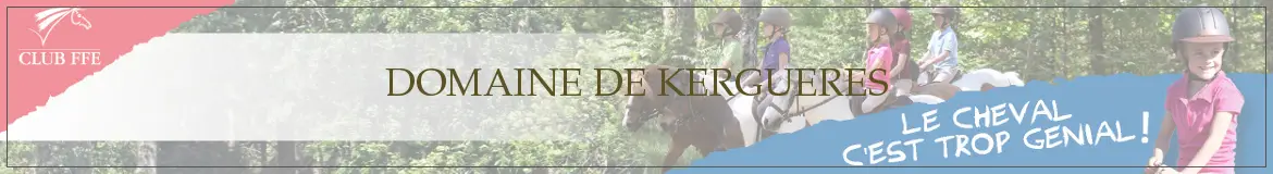 Domain Kergueres