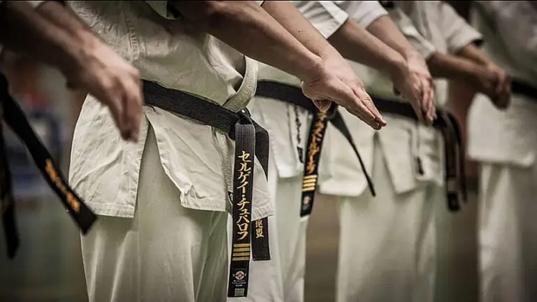 Das Karate Academy