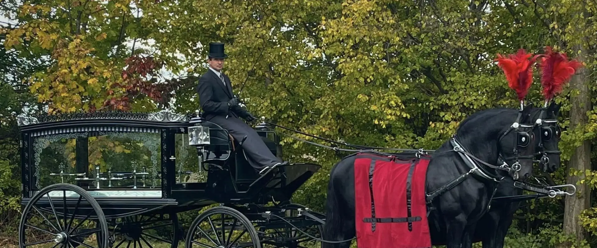Regency horse and carriage masters ltd