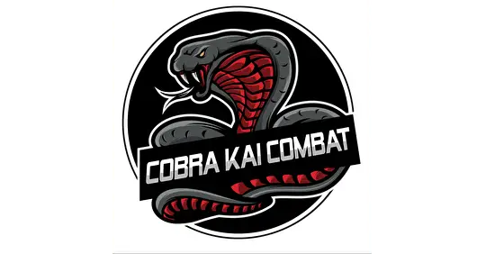 Cobra Kaï Combat