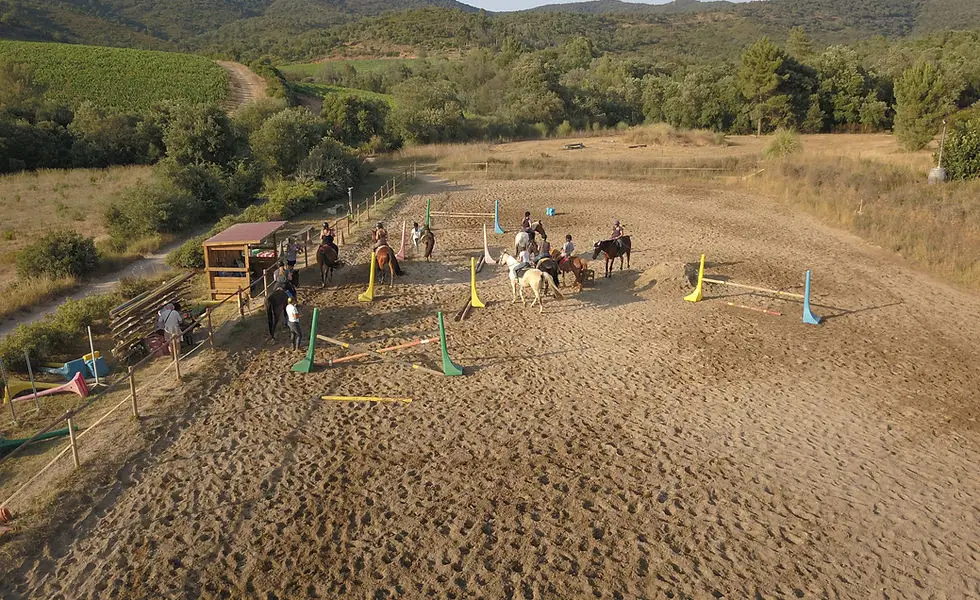 Club Hippique De La Londe