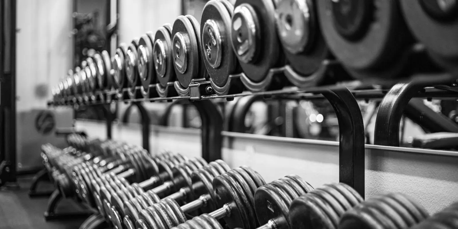 TEAM IRON elles Personal Training