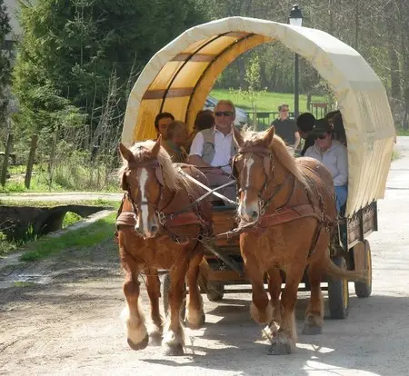 La Ferme Du Sonvaux