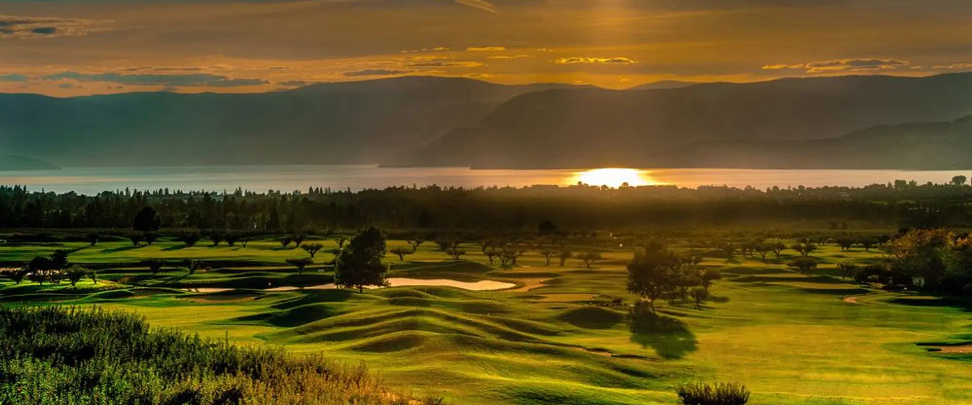The Harvest Golf Club
