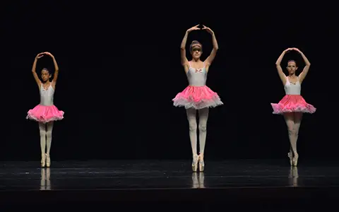 Dance Academy - Art D'une Passion