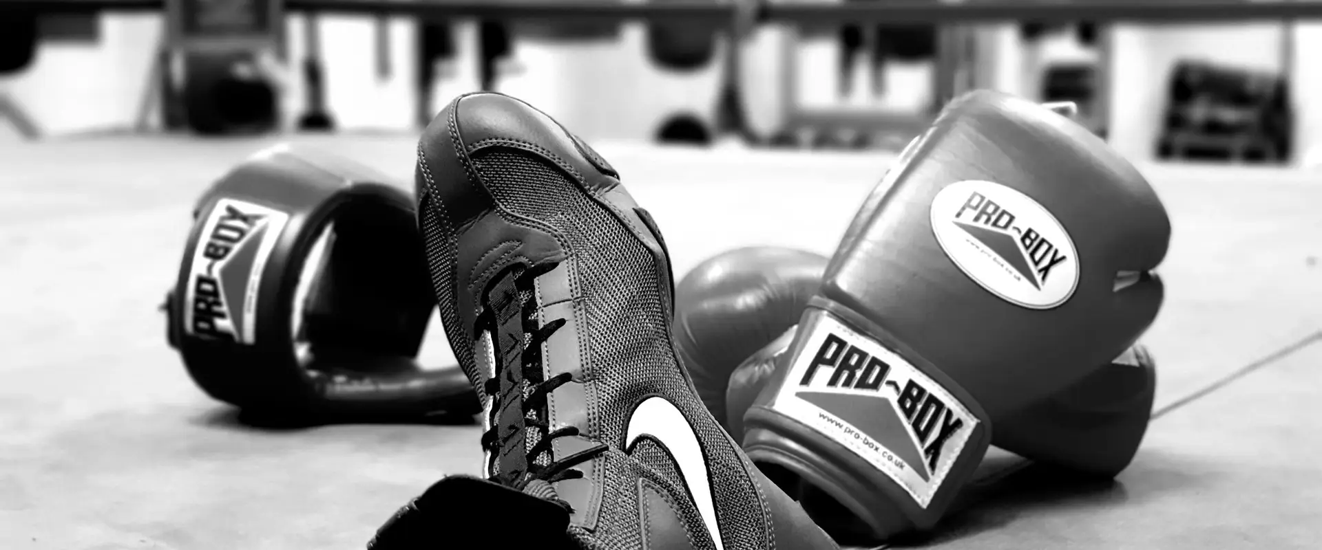 223ROC Boxing & Fitness