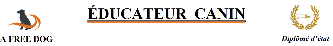 A FREE DOG educateur canin comportementaliste canin