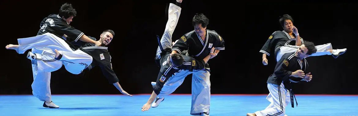 MARTIAL ARTS ACADEMY