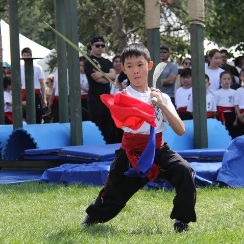 Canadian Ging Wu Martial Arts Assn