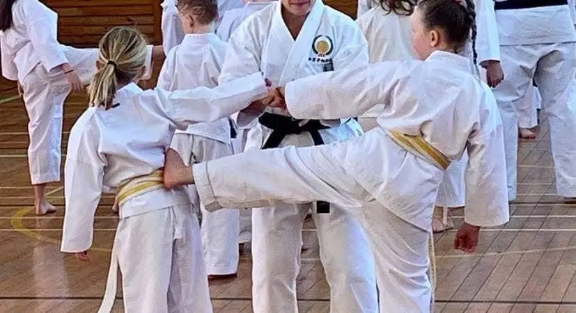 JKS Karate Timaru