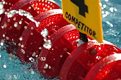 Ligue Régionale de Natation Pays de Loire