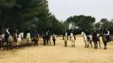 Stables Du Lion D'or